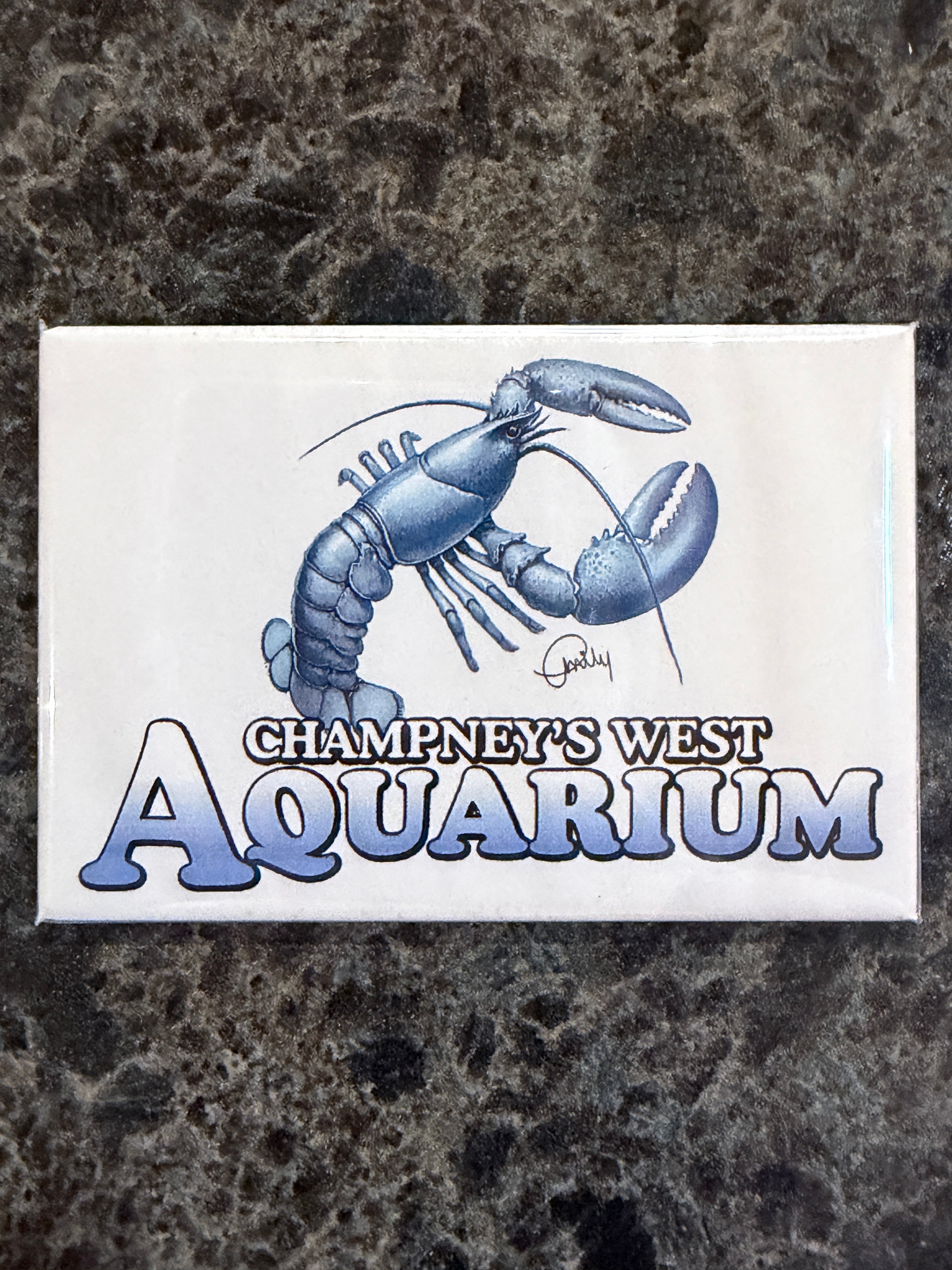 Aquarium Blue Lobster Magnet - Champney's West Store