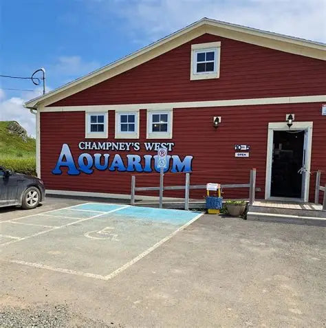 The Aquarium Collection