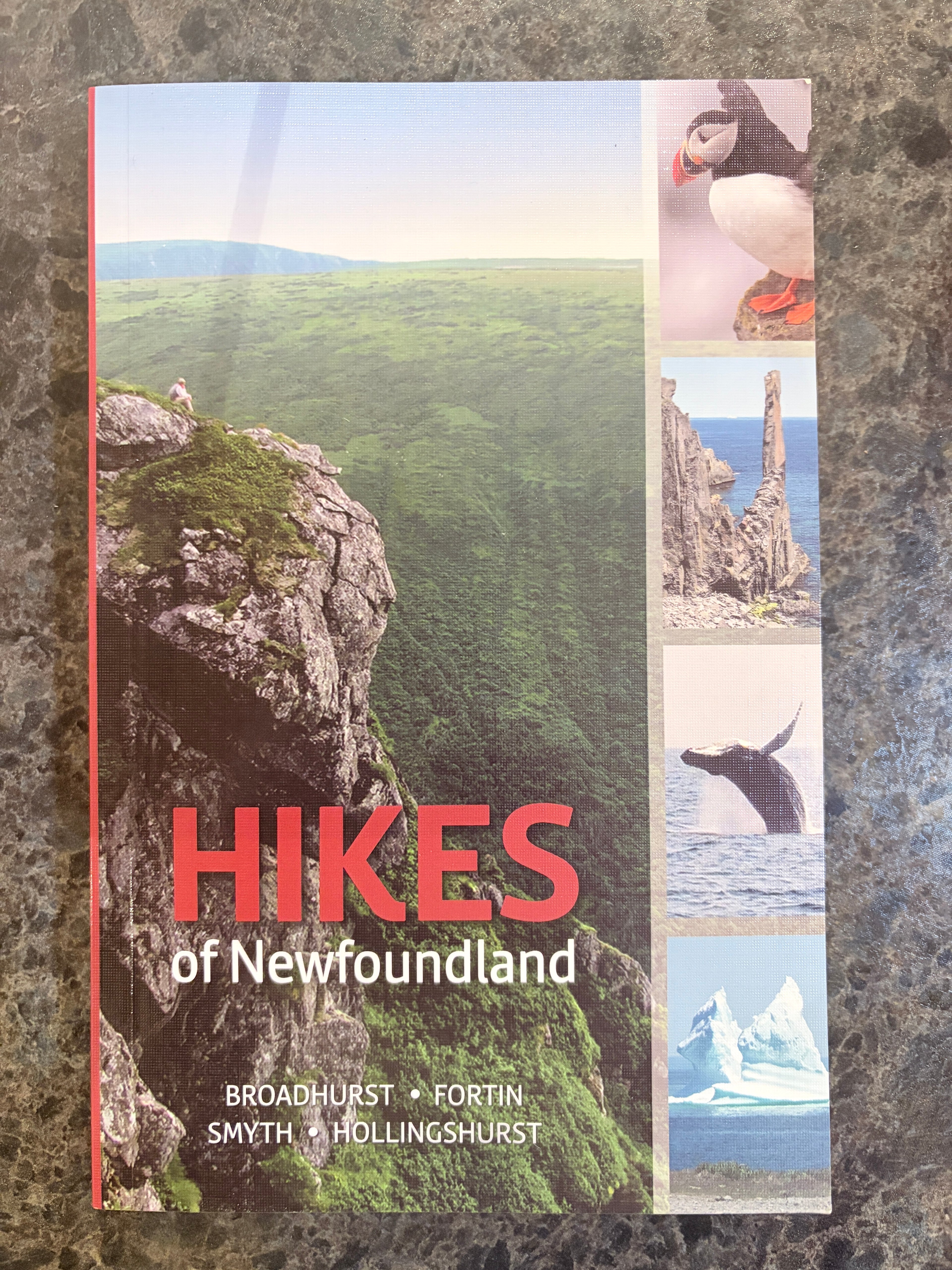 Hikes Of Newfoundland (Book) - Champney's West Store