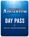 Aquarium July 2026 Day Passes