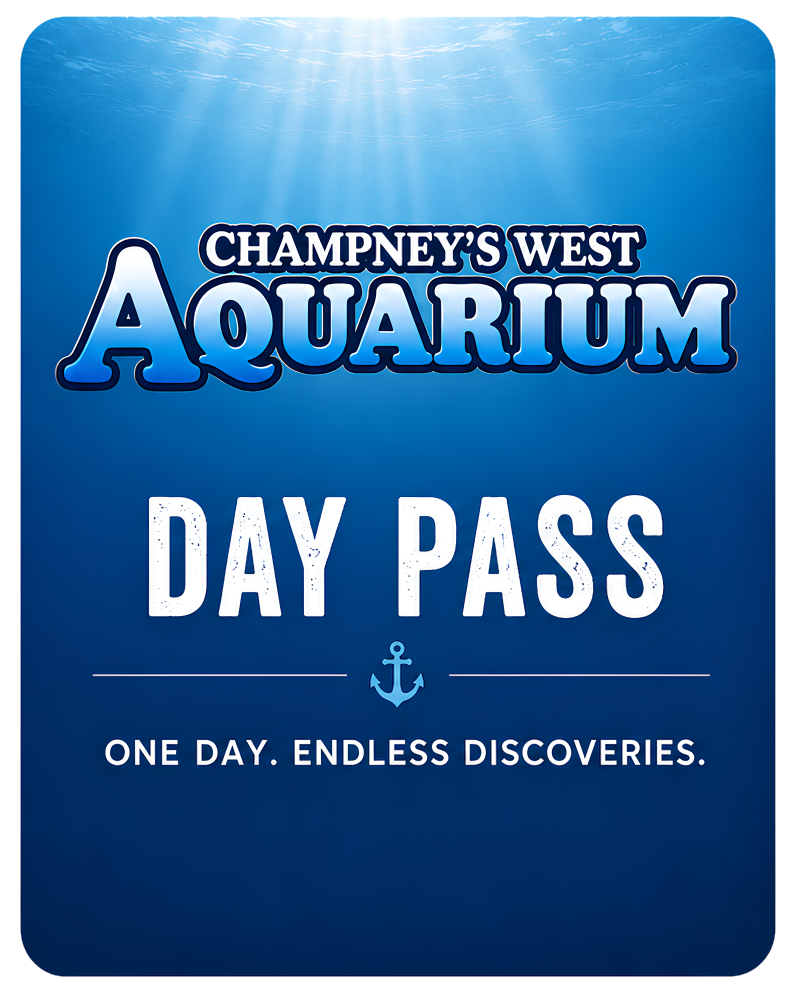 Aquarium August 2026 Day Passes